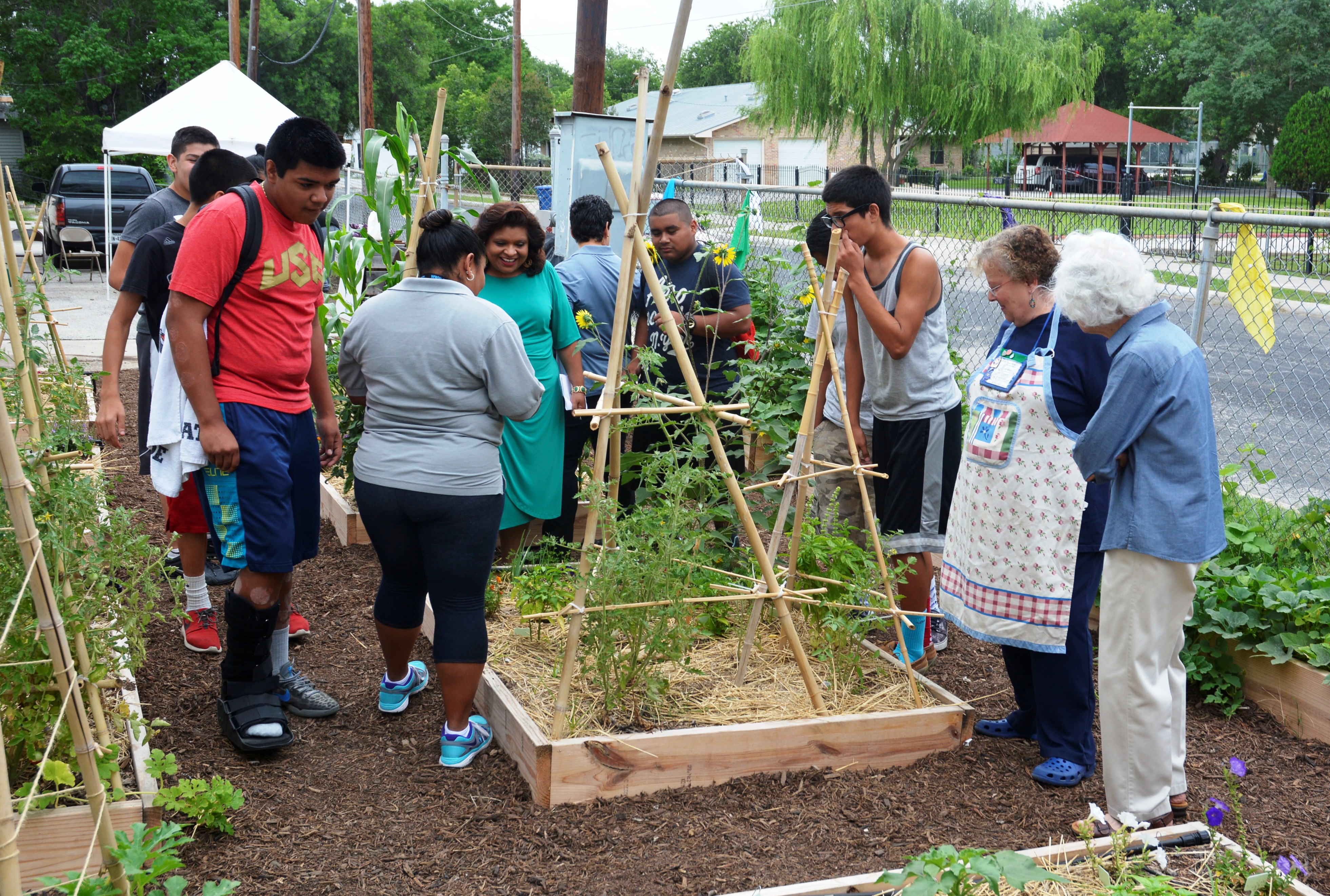 Community Garden Launches In Commerce 88 9 Ketr